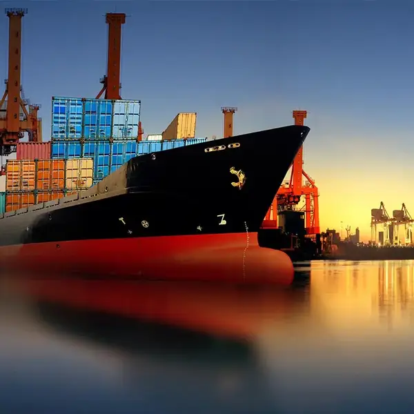 Services of Loading / Unloading Cargo in Constanța Seaport