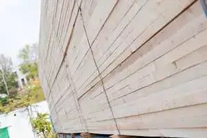 Servicii Container Filler